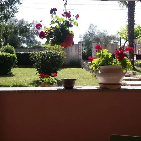 Sara Apartmán *
