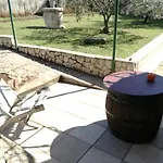 Sara * Pula