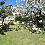 Sara * Pula